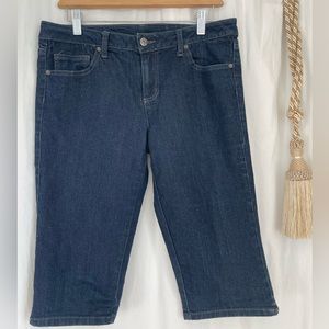 Dark Denim Shorts 12